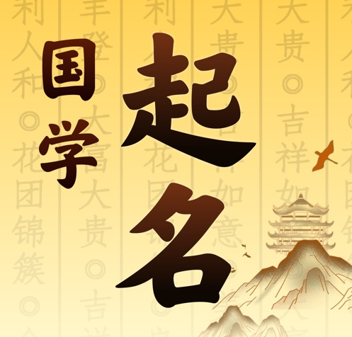 嘉兴市国学起名 人工起名一对一